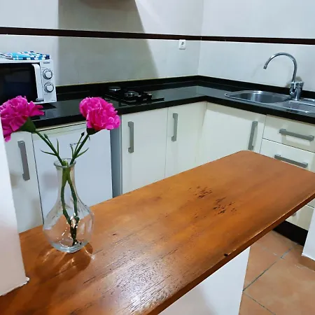 Apartamento Alcazaba *