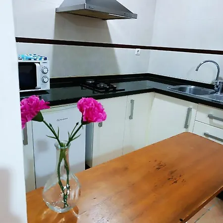 Apartment Alcazaba